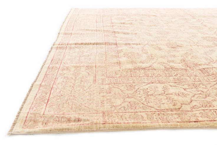 Detail image of 6' 10 x 9' 7 Hand Knotted Ariana Ziegler Oriental Rug