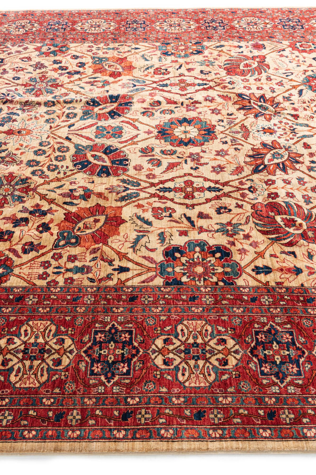 9' x 12' Hand Knotted Ariana Ziegler Oriental Rug