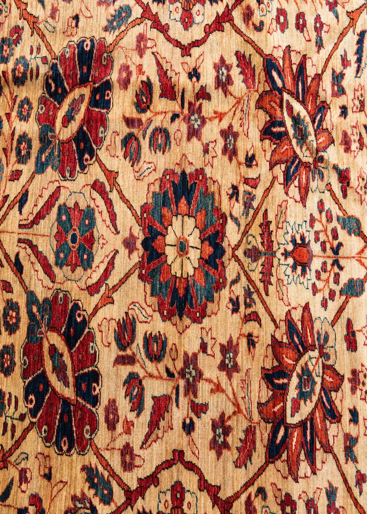 9' x 12' Hand Knotted Ariana Ziegler Oriental Rug