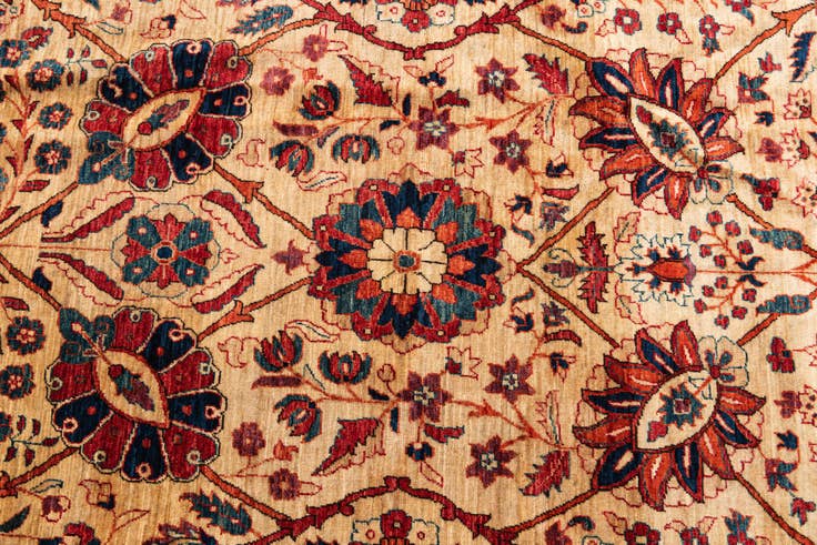 Detail image of 9' x 12' Hand Knotted Ariana Ziegler Oriental Rug