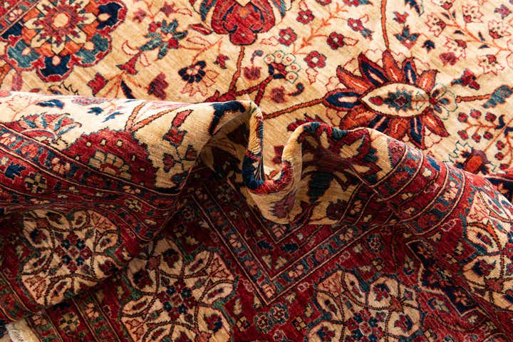 9' x 12' Hand Knotted Ariana Ziegler Oriental Rug