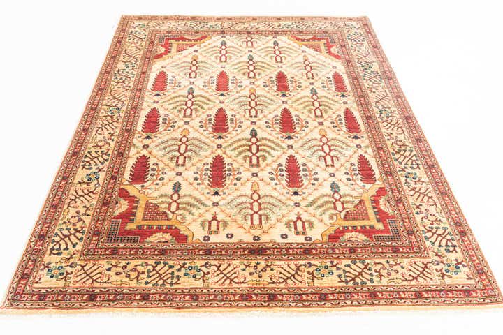 5' x 6' 6 Hand Knotted Ariana Ziegler Oriental Rug