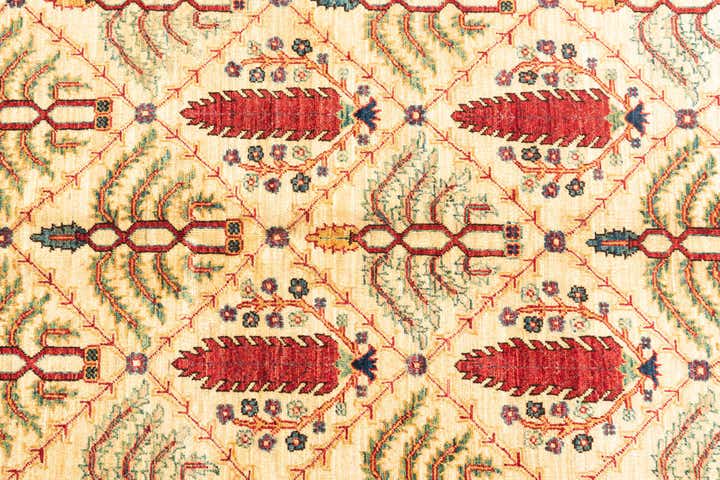 5' x 6' 6 Hand Knotted Ariana Ziegler Oriental Rug