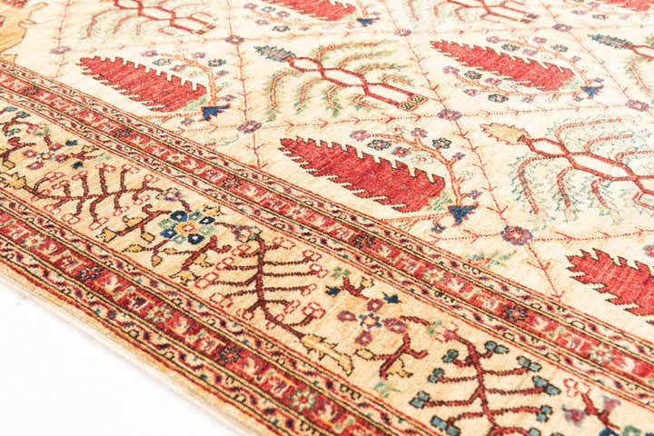 5' x 6' 6 Hand Knotted Ariana Ziegler Oriental Rug