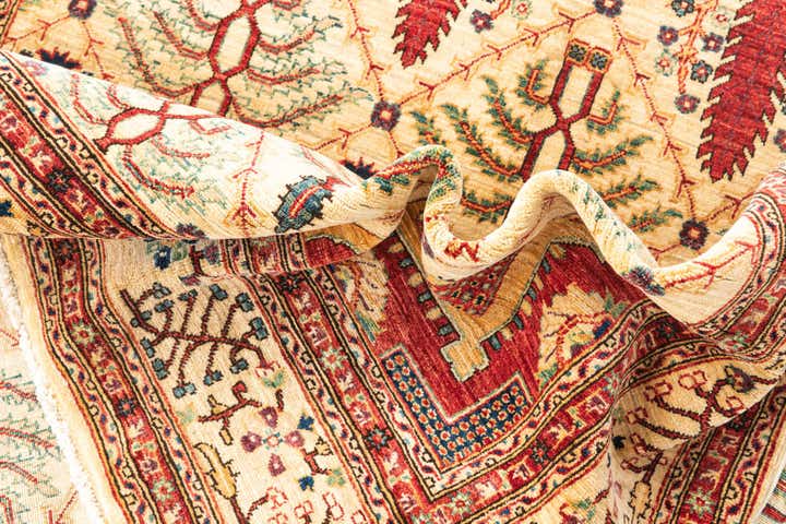 5' x 6' 6 Hand Knotted Ariana Ziegler Oriental Rug