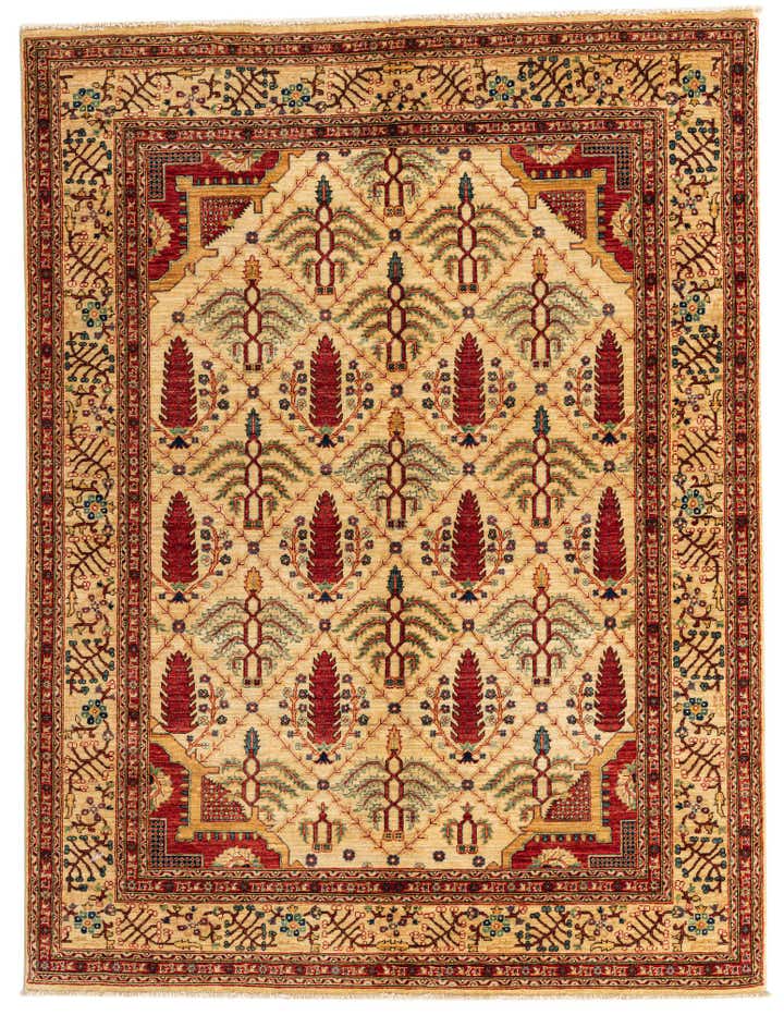 5' x 6' 6 Hand Knotted Ariana Ziegler Oriental Rug