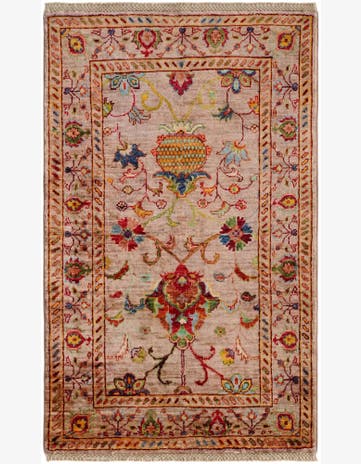 2' 7 x 4' 2 Hand Knotted Ariana Ziegler Rug