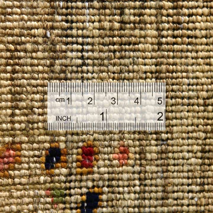 3' 4 x 5' 3 Hand Knotted Ariana Ziegler Rug