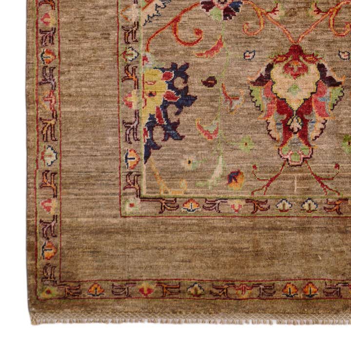 4' x 6' Hand Knotted Ariana Ziegler Rug