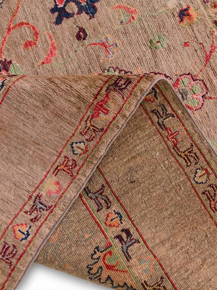 4' x 6' Hand Knotted Ariana Ziegler Rug