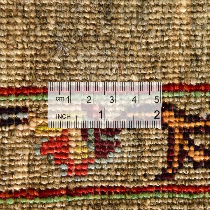 4' x 6' Hand Knotted Ariana Ziegler Rug