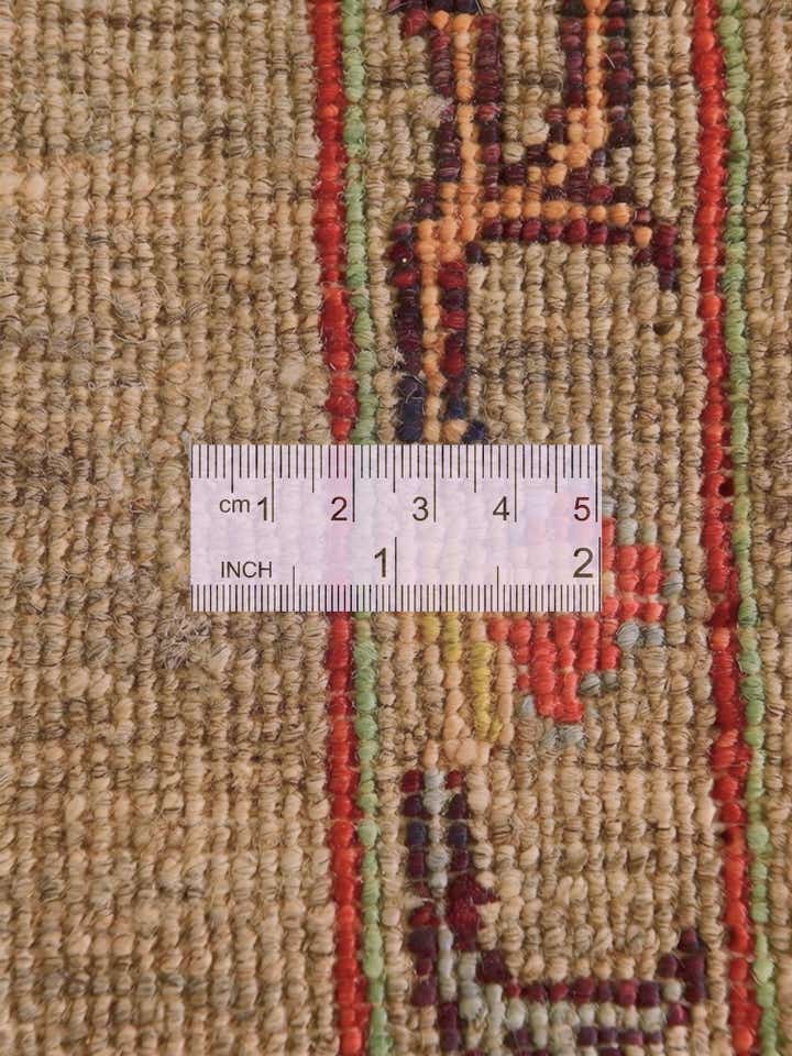 4' x 6' Hand Knotted Ariana Ziegler Rug