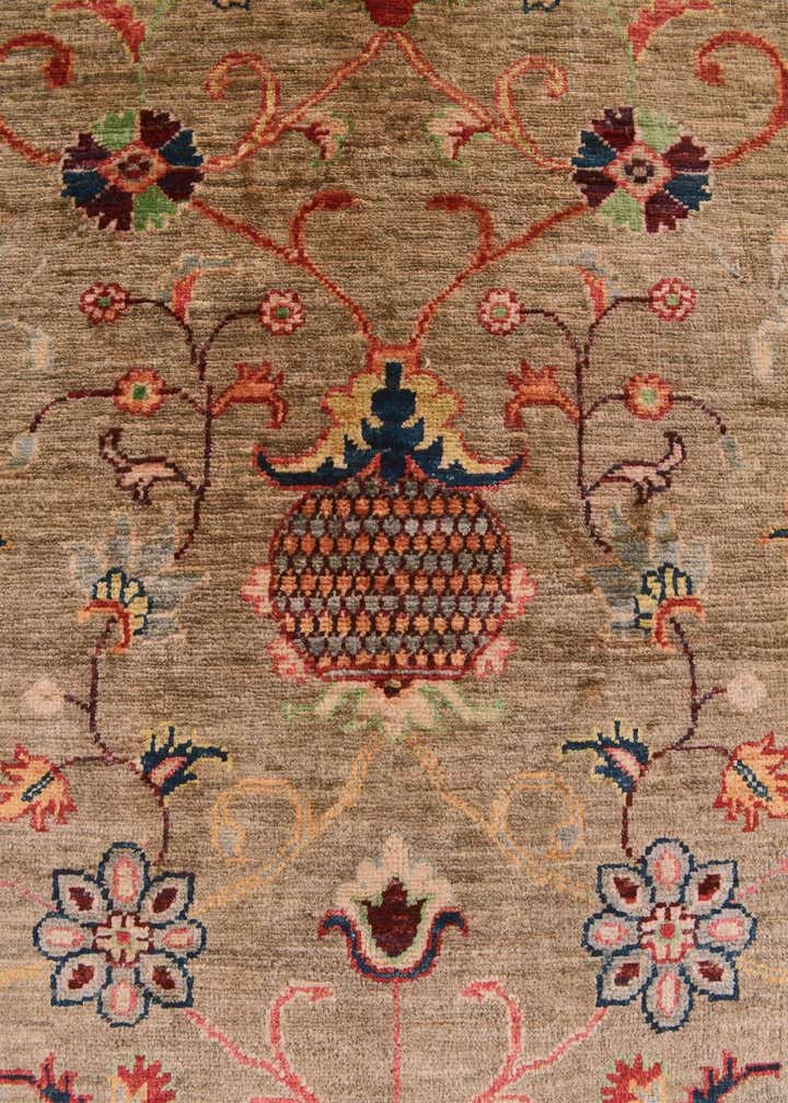 4' x 6' Hand Knotted Ariana Ziegler Rug