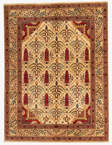 5' x 6' 6 Hand Knotted Ariana Ziegler Oriental Rug