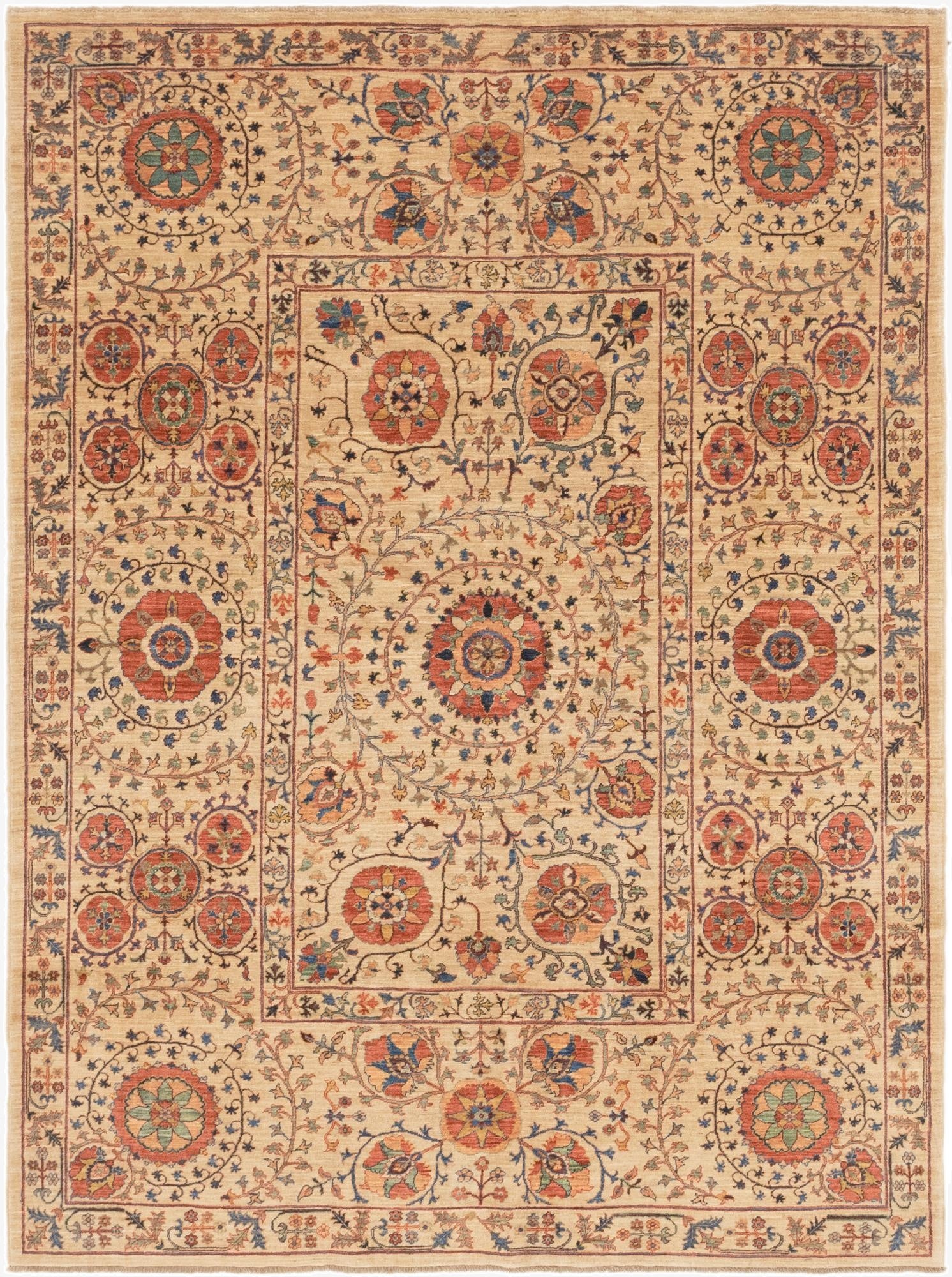6' 2 x 8' 2  Hand Knotted Ariana Ziegler Oriental Rug