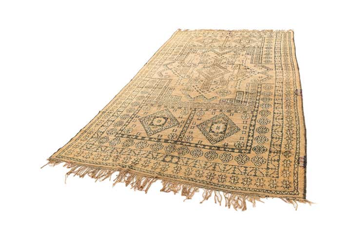 6' 11 x 12' 2 Berber Rug