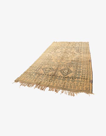 6' 11 x 12' 2 Berber Rug