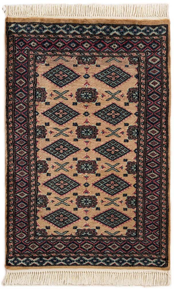 2' 8 x 3' 11 Hand Knotted Bokhara Oriental Rug