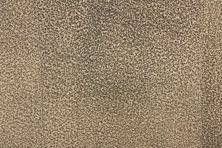 2' x 3' Cowhide Leather Rug