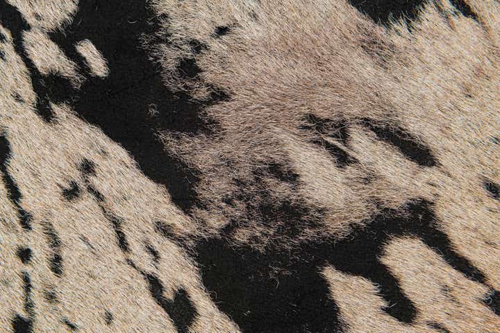 6' 3 x 7' 2 Cowhide Leather Rug