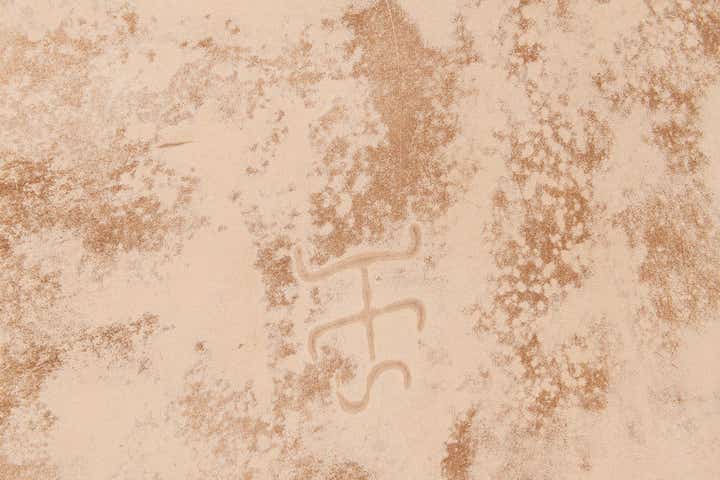 6' 6 x 7' 7 Cowhide Leather Rug