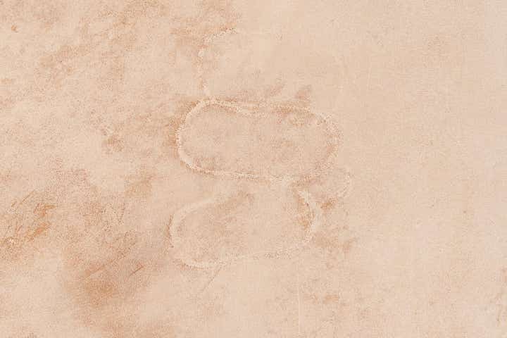 5' 11 x 7' 1 Cowhide Leather Rug
