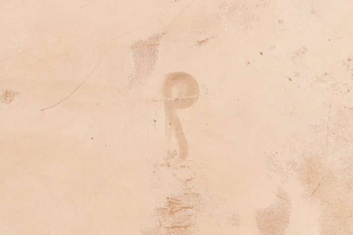 6' 6 x 7' 3 Cowhide Leather Rug