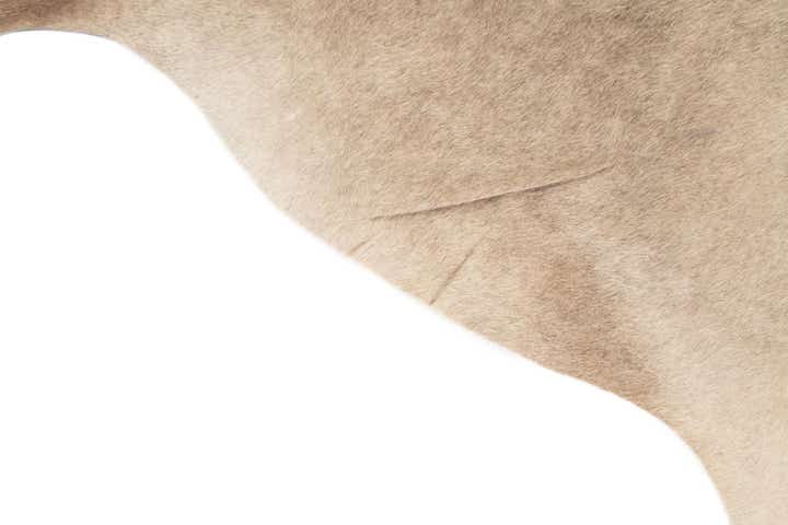 5' 4 x 6' 2 Cowhide Leather Rug