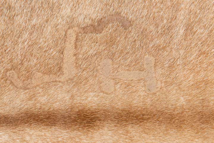 5' 5 x 6' 3 Cowhide Leather Rug