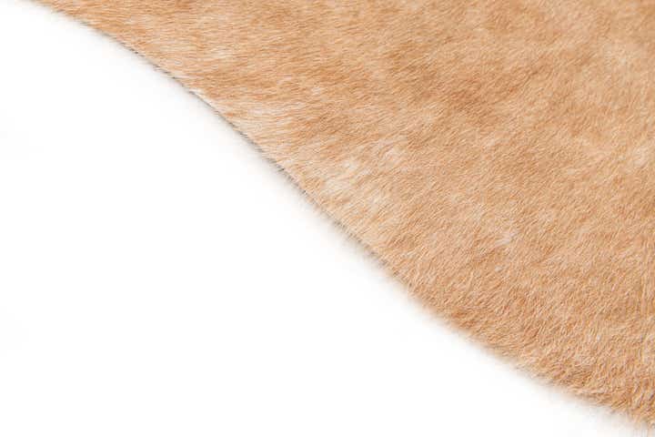 5' 5 x 6' 5 Cowhide Leather Rug