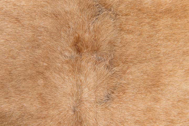5' 5 x 6' 5 Cowhide Leather Rug