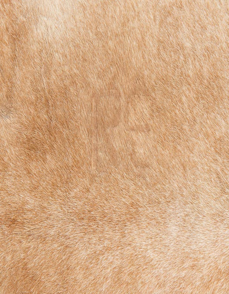 Detail image of 6' 7 x 7' 7 Cowhide Leather Rug