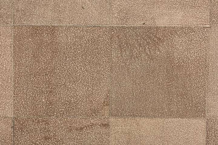 5' 1 x 8' Cowhide Rug