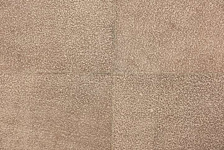 5' 1 x 8' Cowhide Rug