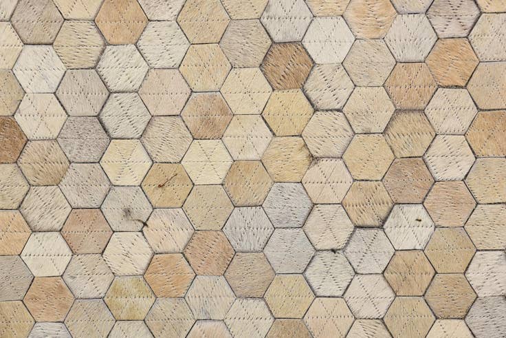 Detail image of 4' 10 x 6' 8 Cowhide Rug
