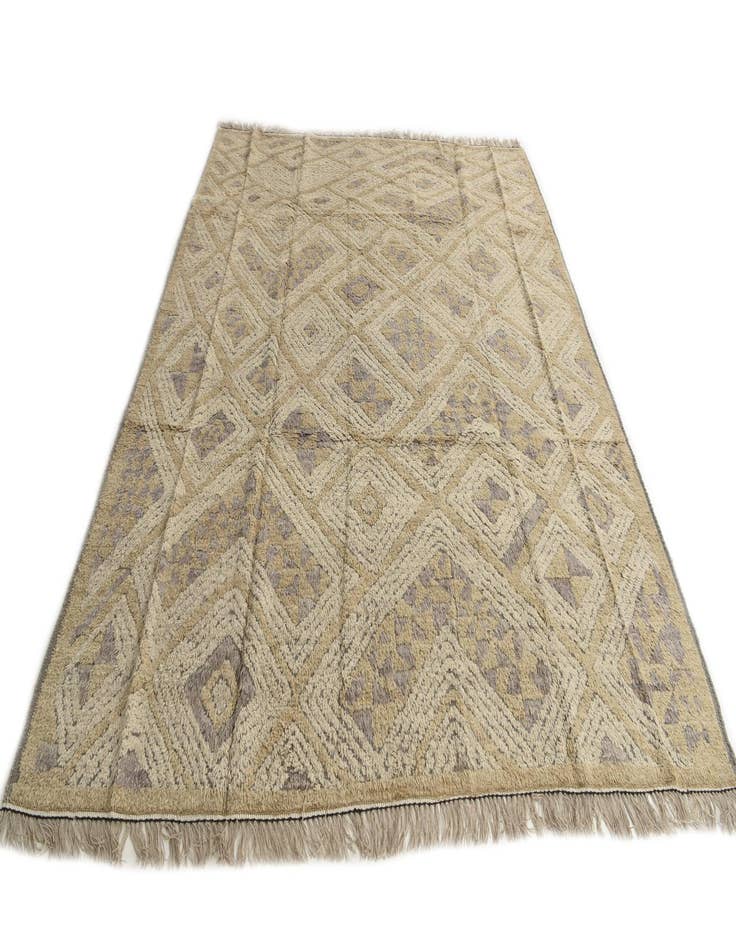 Detail image of 8' 2 x 10' 3  Hand Knotted Darya Wool Rug