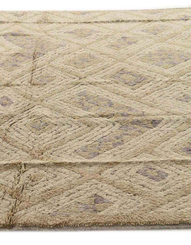 Detail image of 8' 2 x 10' 3  Hand Knotted Darya Wool Rug