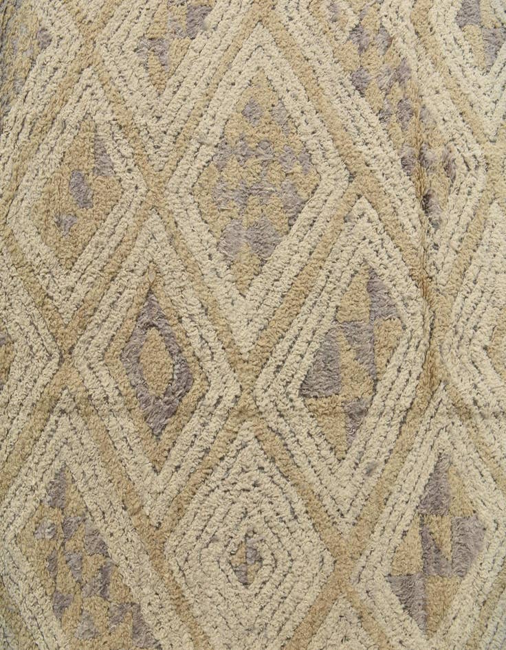 Detail image of 8' 2 x 10' 3  Hand Knotted Darya Wool Rug