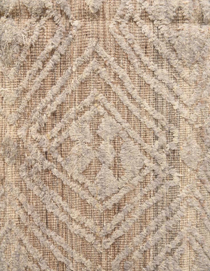 Detail image of 8' 9 x 12' 5  Hand Knotted Darya Wool Rug