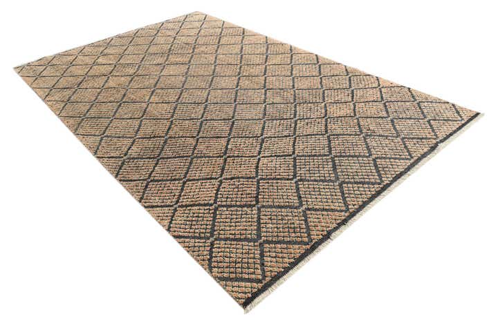 6' 7 x 10' 4 Hand Knotted Darya Wool Rug