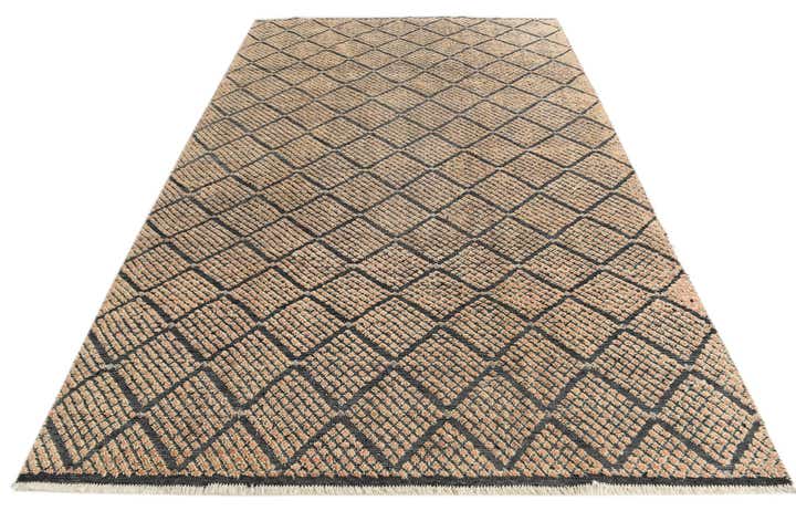 6' 7 x 10' 4 Hand Knotted Darya Wool Rug