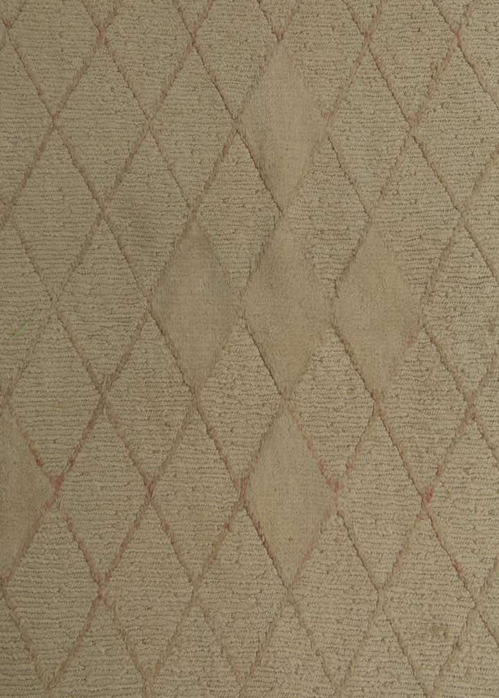 8' x 9' 6 Hand Knotted Darya Wool Rug