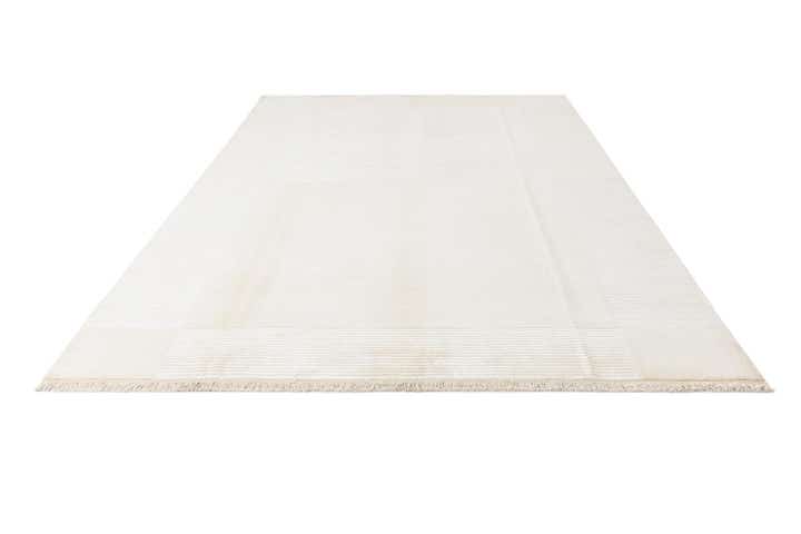 7' 11 x 9' 10 Hand Knotted Darya Wool Rug