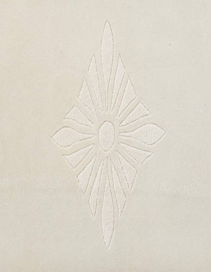 Detail image of 7' 10 x 9' 11  Hand Knotted Darya Wool Rug