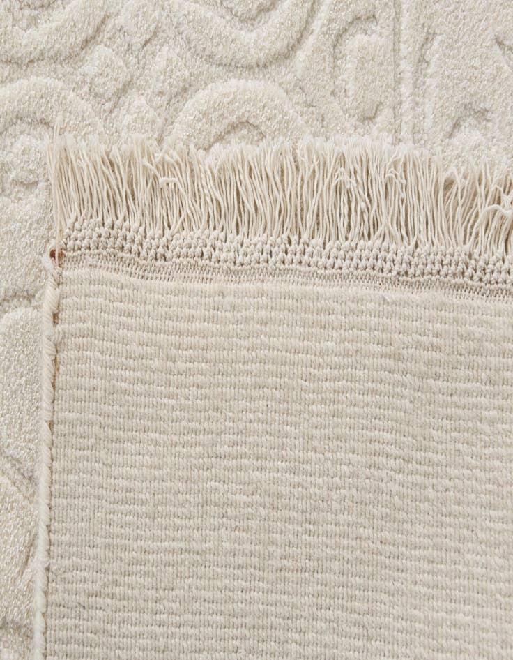 Detail image of 8' 2 x 11' 4  Hand Knotted Darya Wool Rug