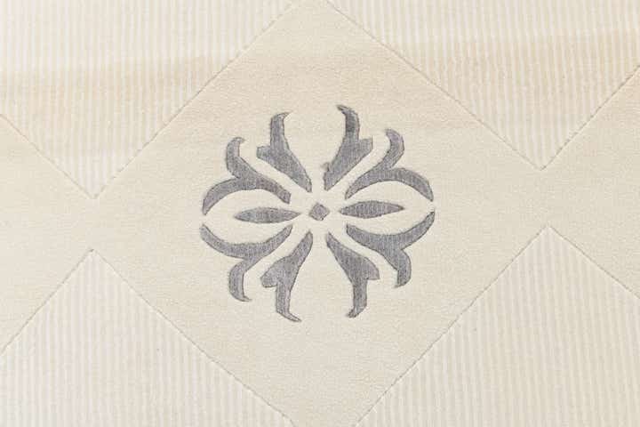 8' 2 x 11' 6 Hand Knotted Darya Wool Rug