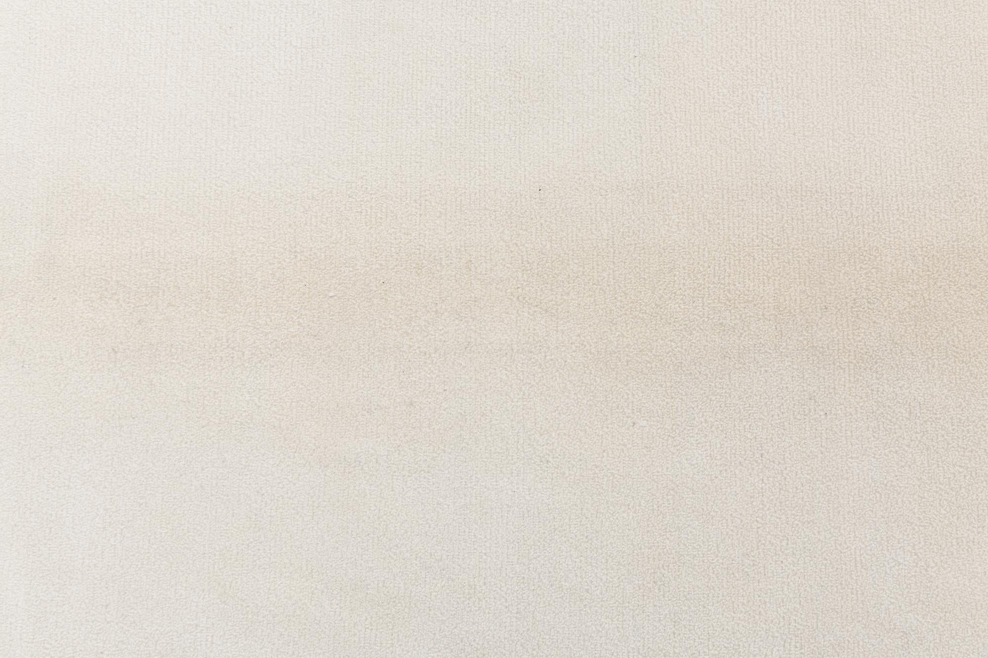 8' 2 x 11' 4 Hand Knotted Darya Wool Rug