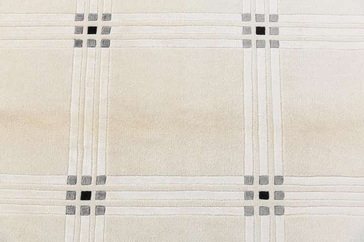 8' 1 x 11' 3 Hand Knotted Darya Wool Rug