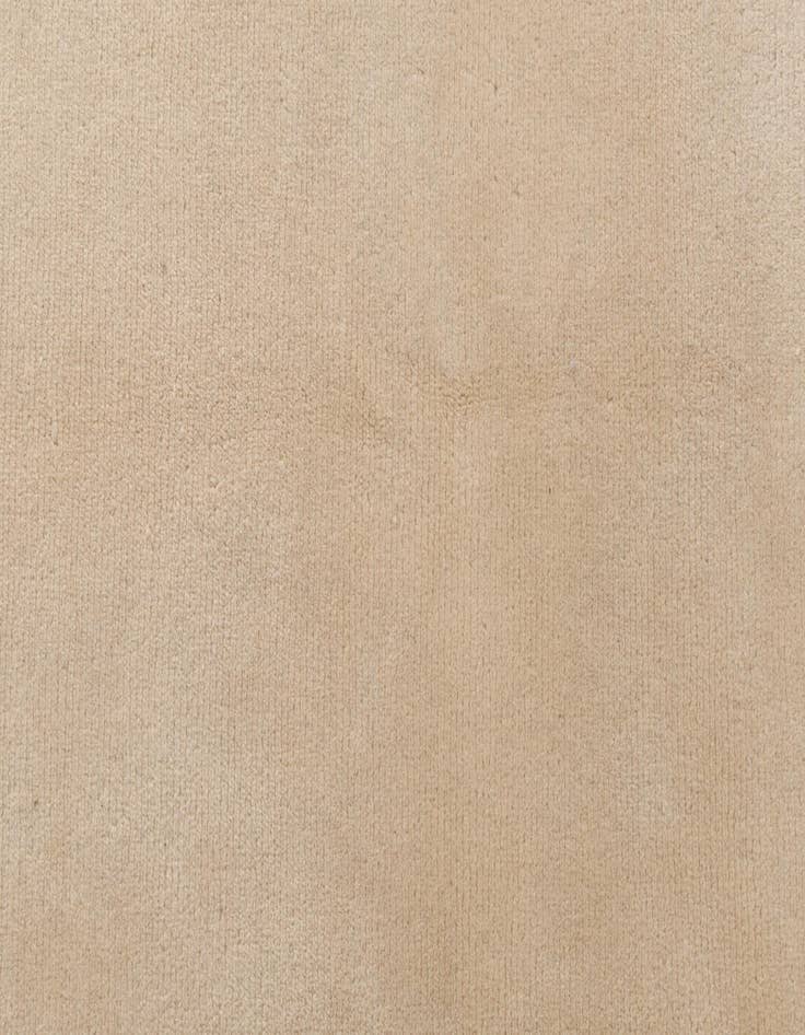 Detail image of 6' 6 x 9' 9  Hand Knotted Darya Wool Rug