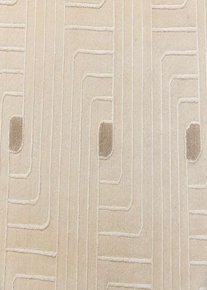 6' 6 x 9' 7 Hand Knotted Darya Wool Rug